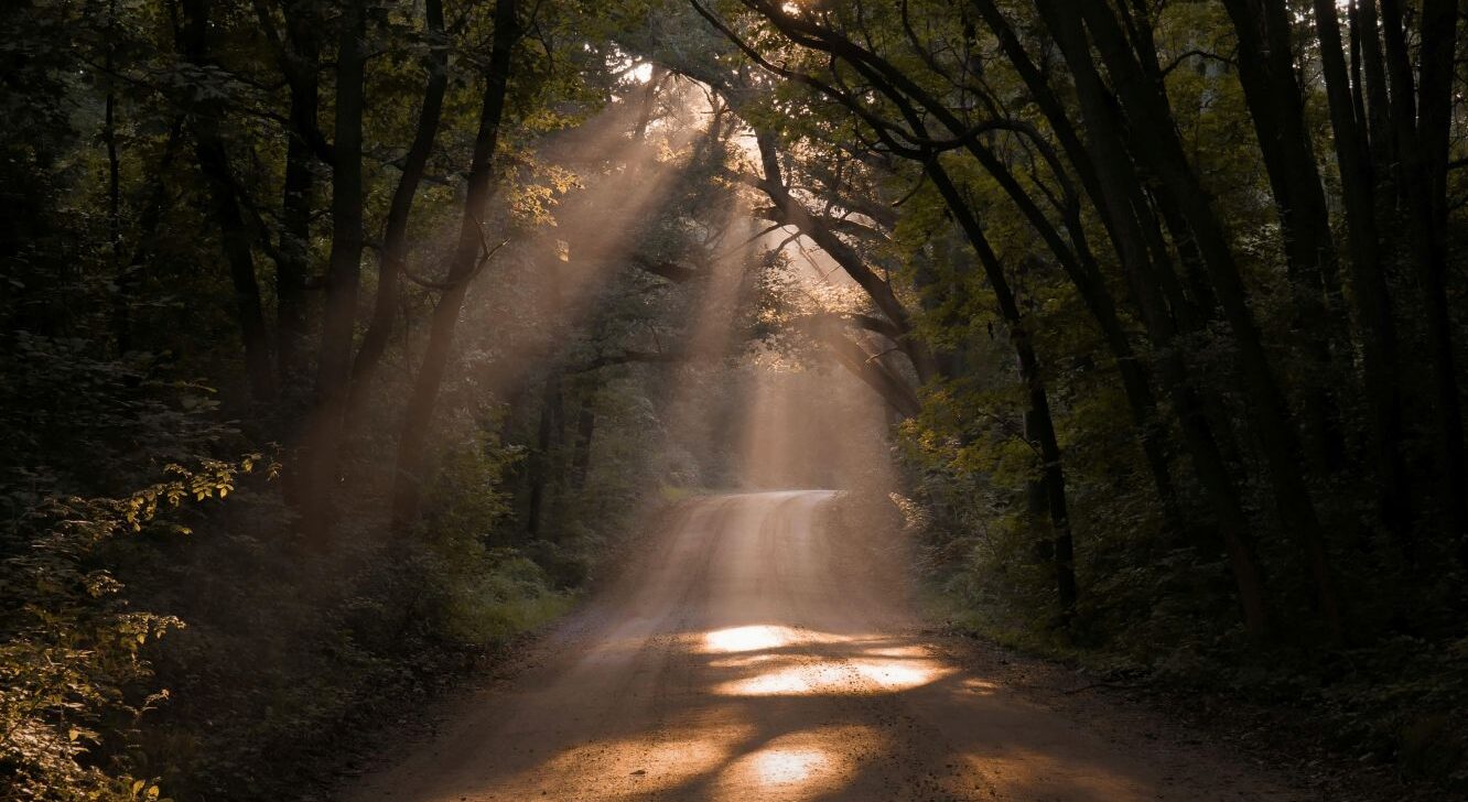 Hikes & Haunts